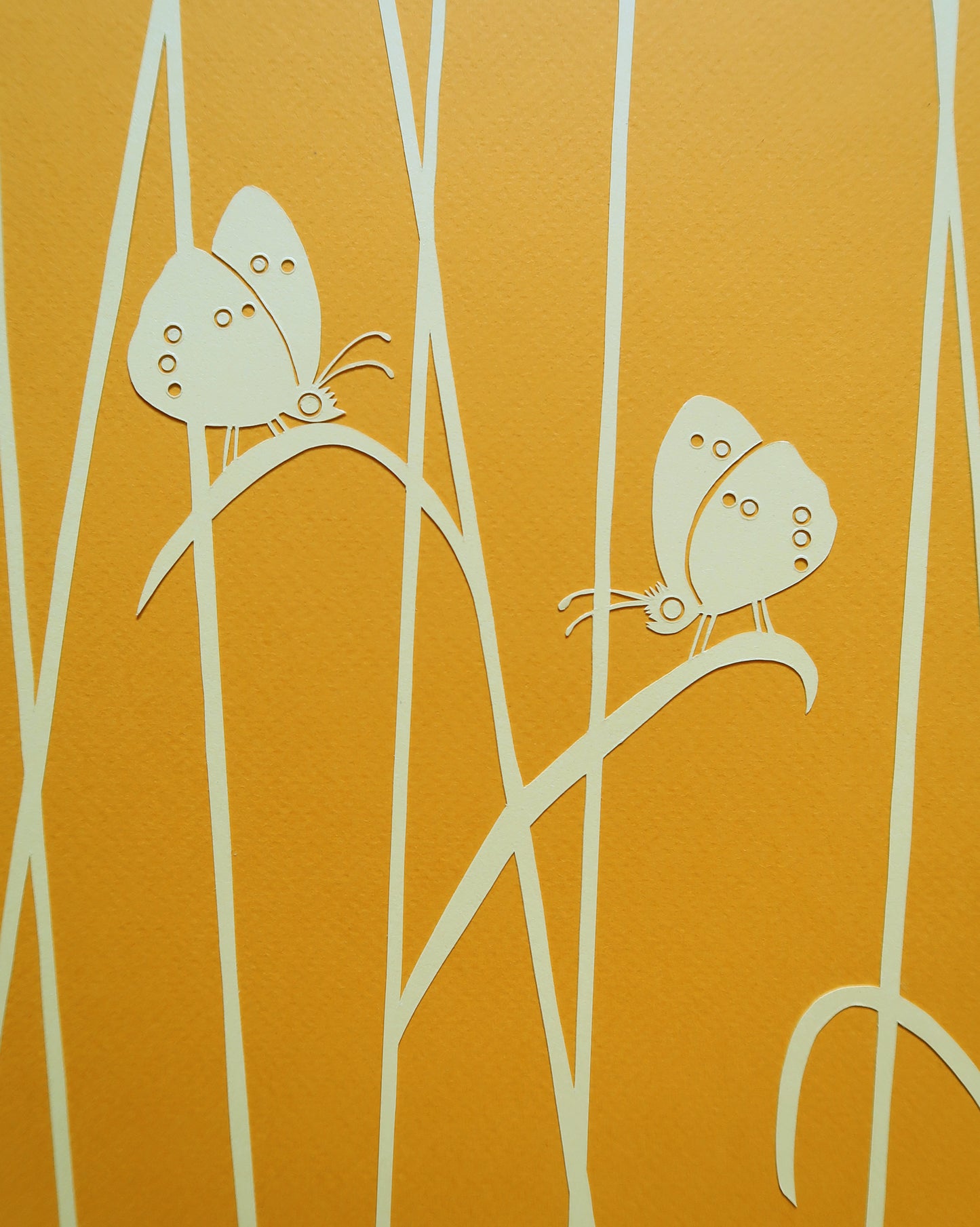 Engrandøjer på overdrev 60x50 cm