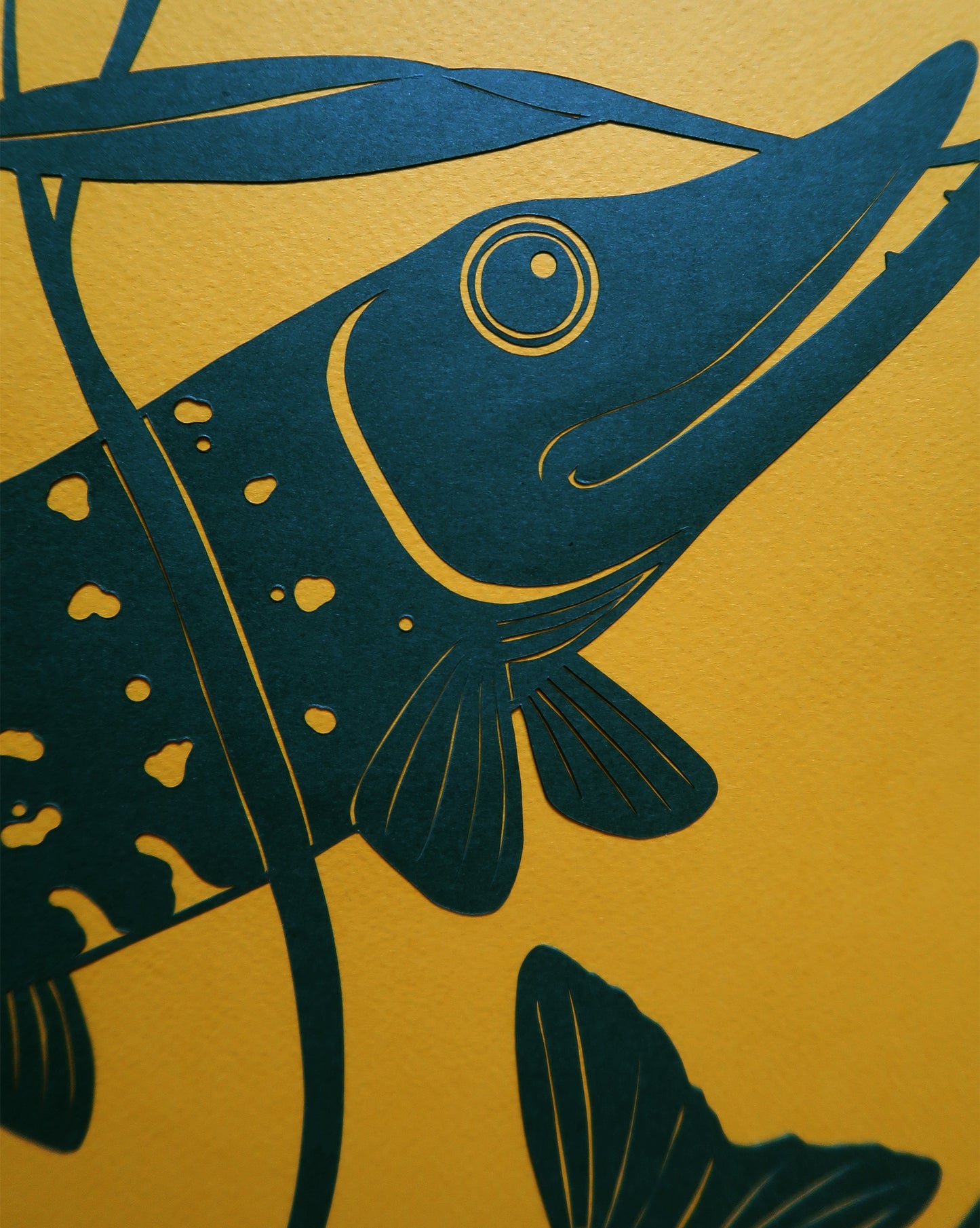 Gedder i skovsø 50x50 cm